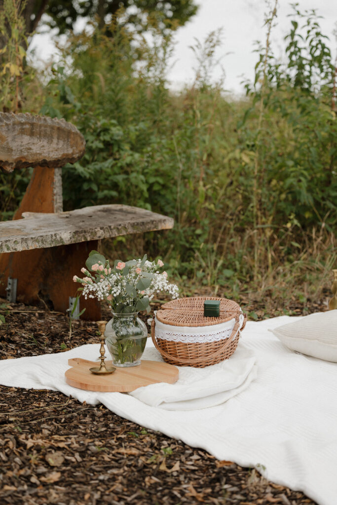 Romantic Surprise Proposal Photos to Cherish Forever