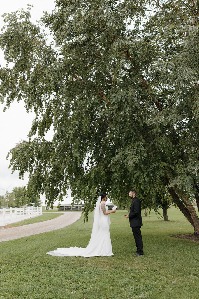 romantic wedding photos outdoors in des moines