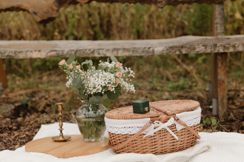 Romantic Surprise Proposal Photos to Cherish Forever