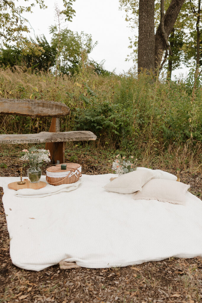 Romantic Surprise Proposal Photos to Cherish Forever