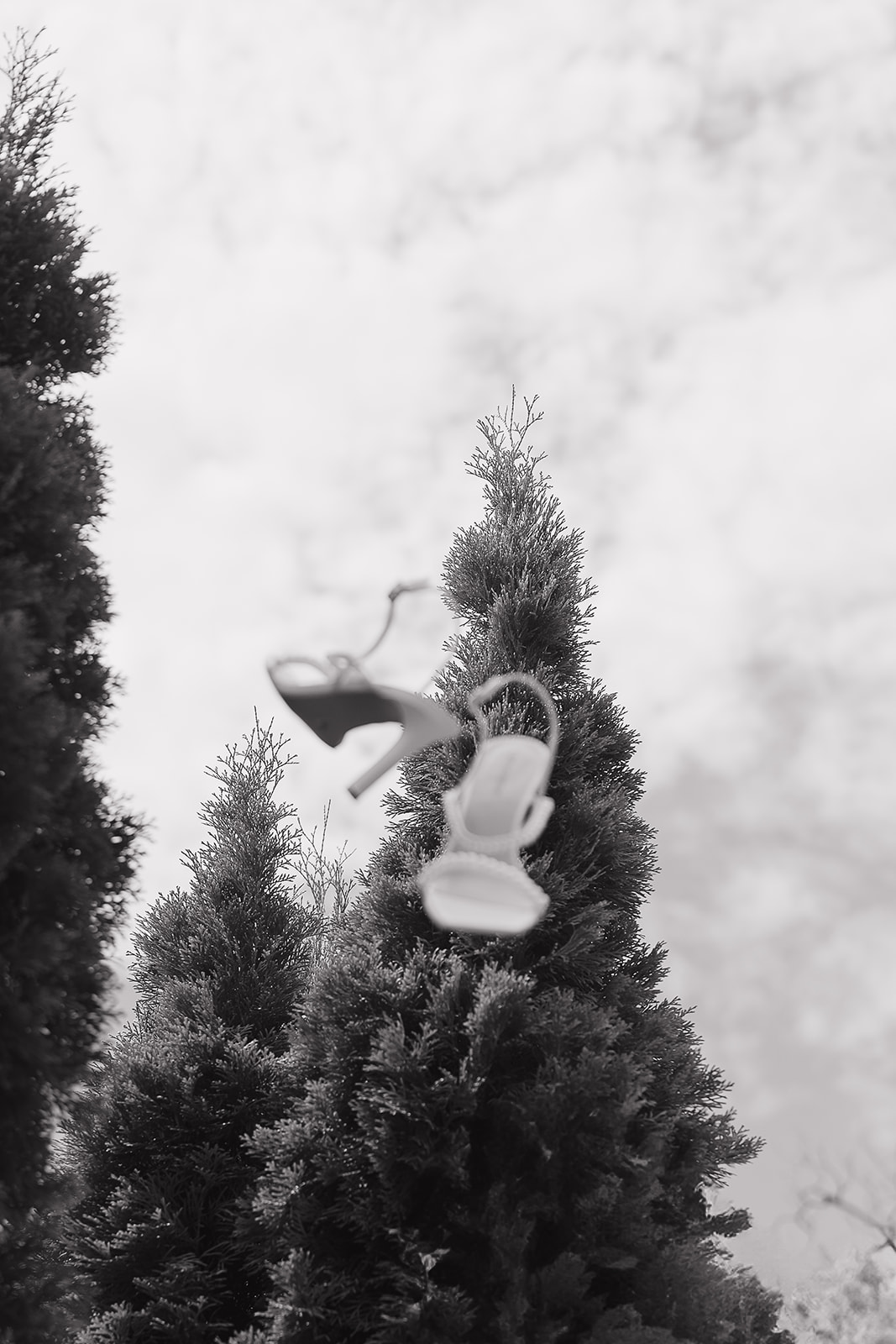An elegant detail shot of the brides shows that were thrown up into the air for a fun editorial wedding detail shot.